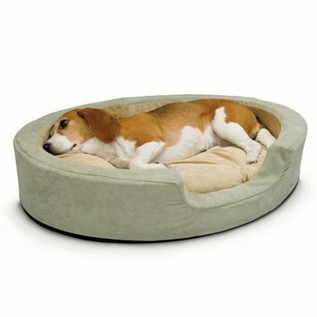Cuccia per animali domestici riscaldata per un sonno medio e confortevole