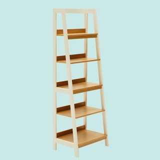Modrn scandinava Finna Ladder Bookcase