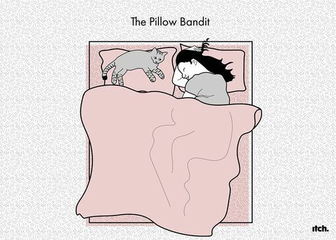 Illustrazione del gatto nuovo studio delle posizioni di sonno dell'animale domestico