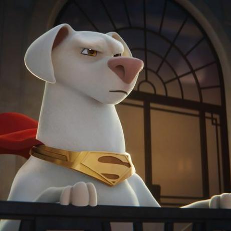 DC League of Super Pets nei migliori film per bambini 2022